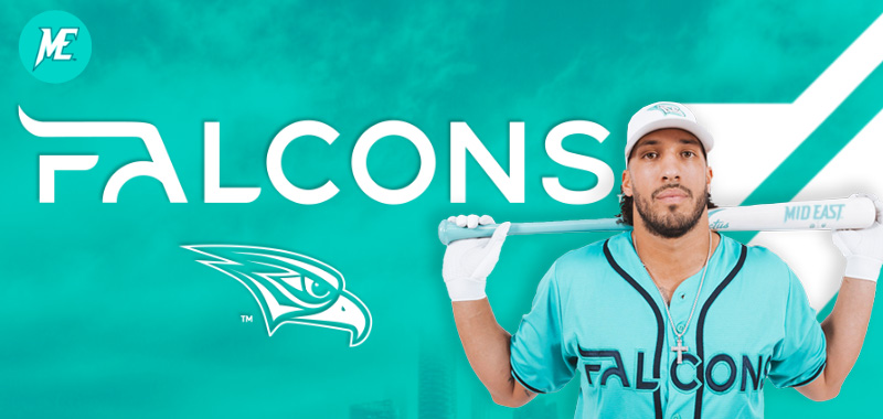 Abu Dhabi Falcons